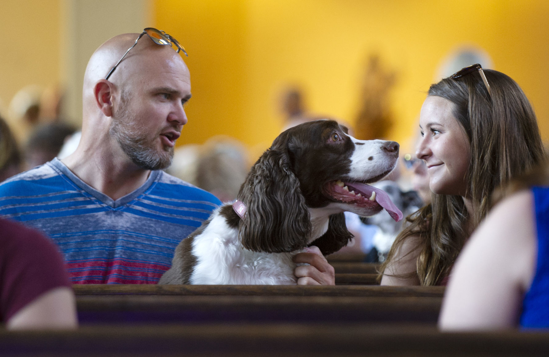 Animal Blessing at First-Plymouth Congregational Church, 6.2